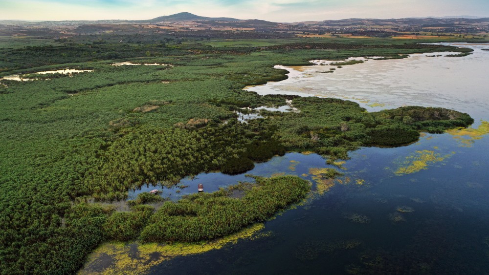 Deniz ile ormanın kucaklaştığı adres: Karacabey Longozu - Bursa'da Güzel  Bir Yer